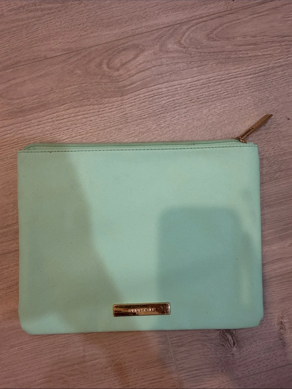 Mint Green Cosmetic Zip Pouch with Gold Accent